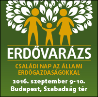 Erdővarázs Budapesten Szeptemberben