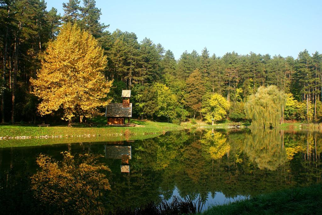 A Tamási Parkerdő a Miklósvári városrészben