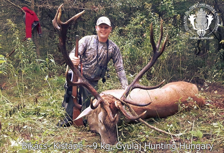 Canadian hunter in Bikács-Kistápé with a 9kg stag