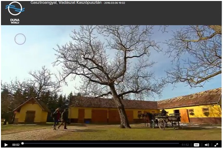 A Gasztroangyal kaszói műsora