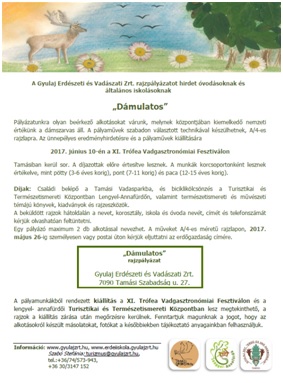 "Dámulatos" - Rajzpáláyzat a Gyulaj Zrt. szervezésében